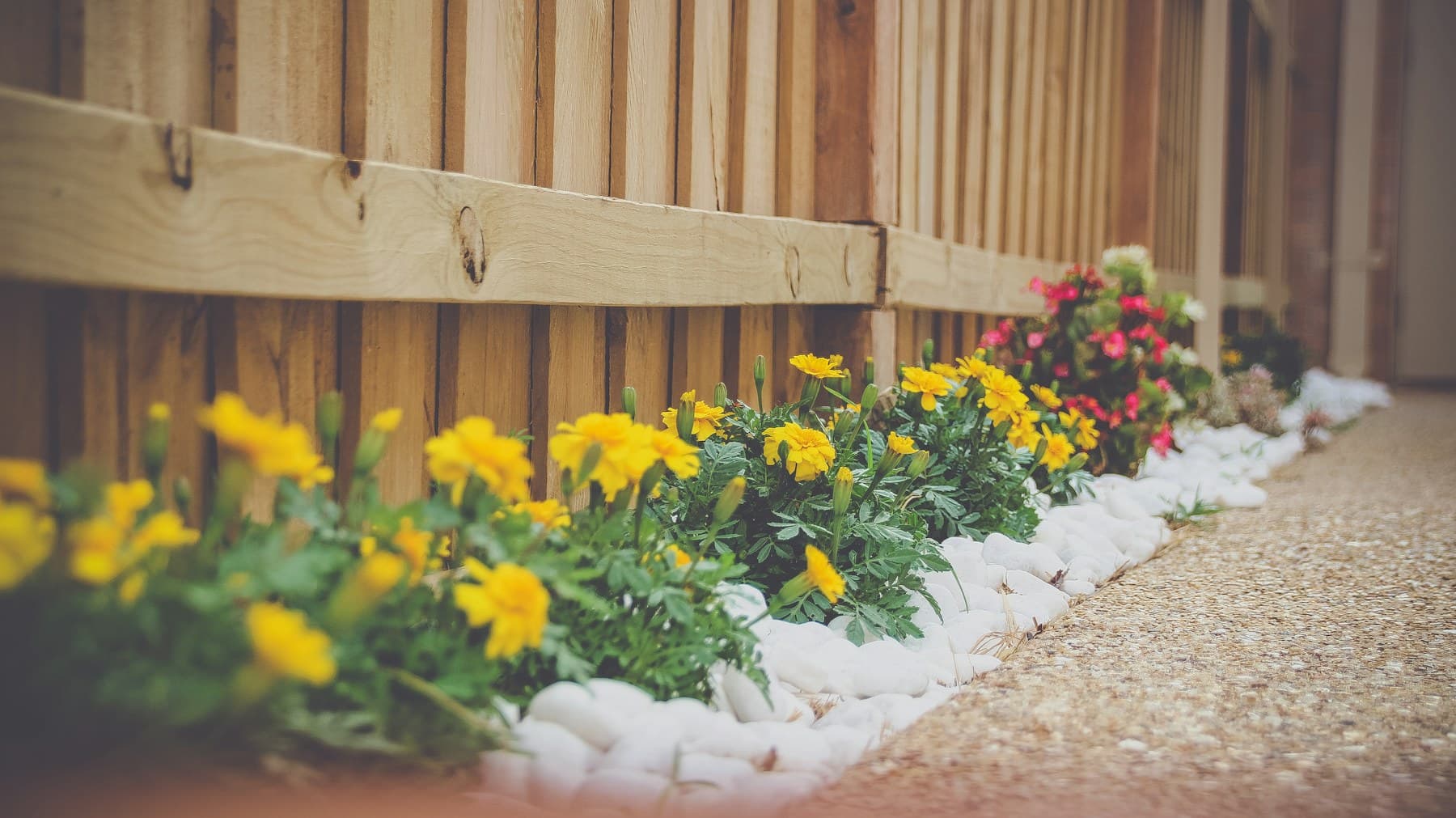 Freshly mulched planting beds with crisp borders along a green lawn