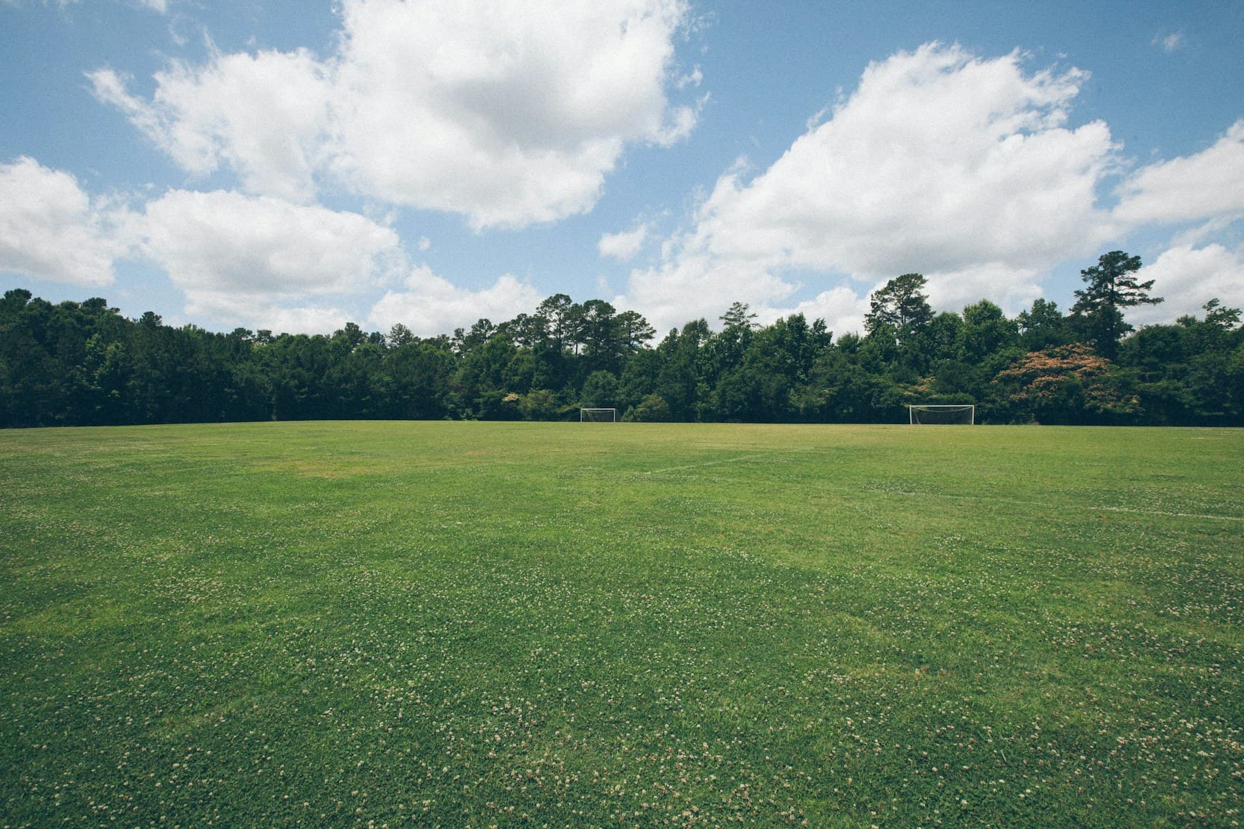 A neatly mown lawn with clean stripes beside a planted border