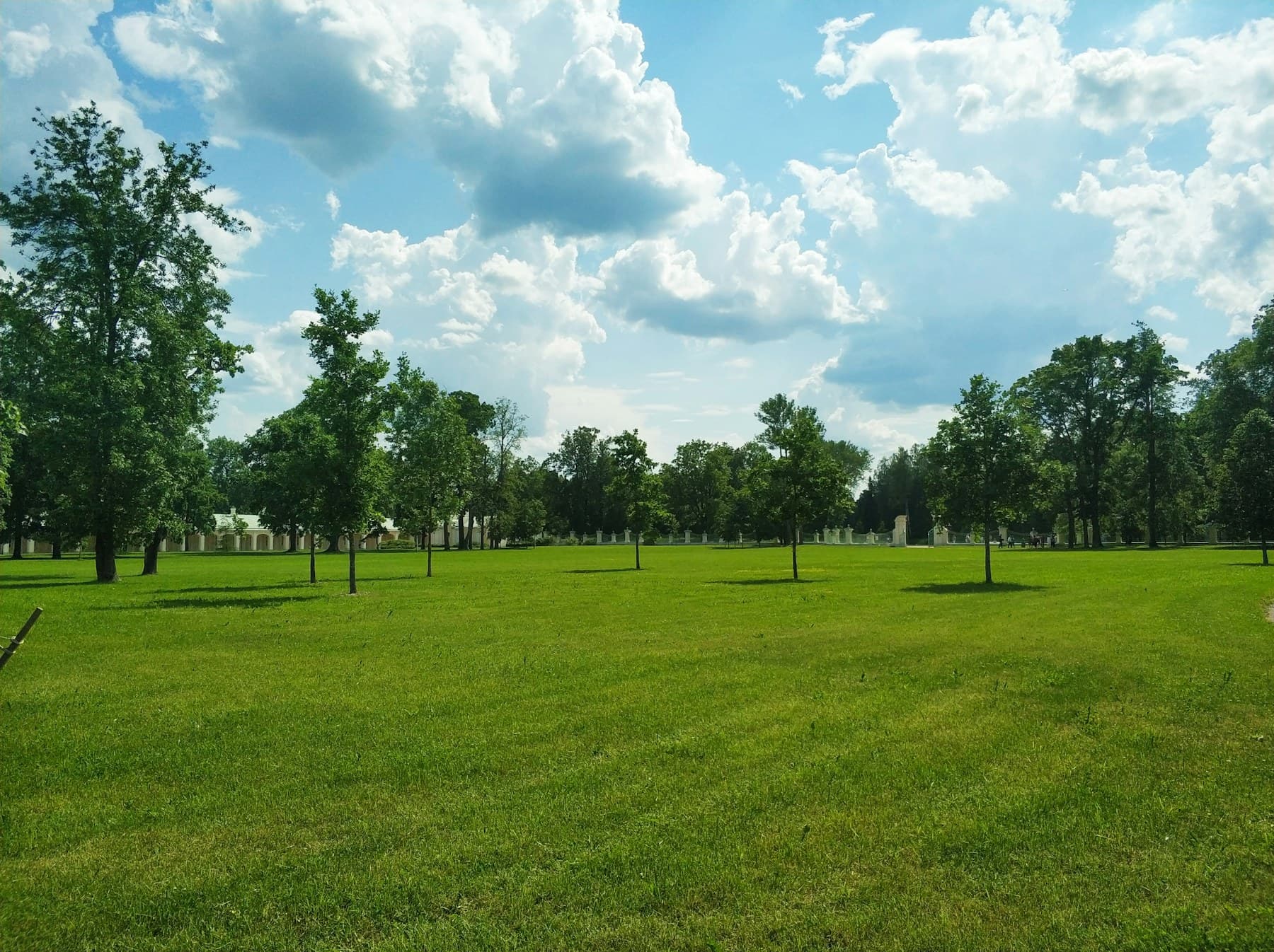 Lush, manicured grounds with mature trees and clean lawn lines